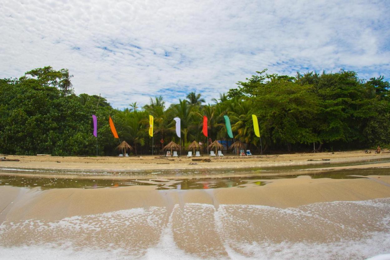 Playa 506 Beachfront Hostel Puerto Viejo de Talamanca Екстериор снимка