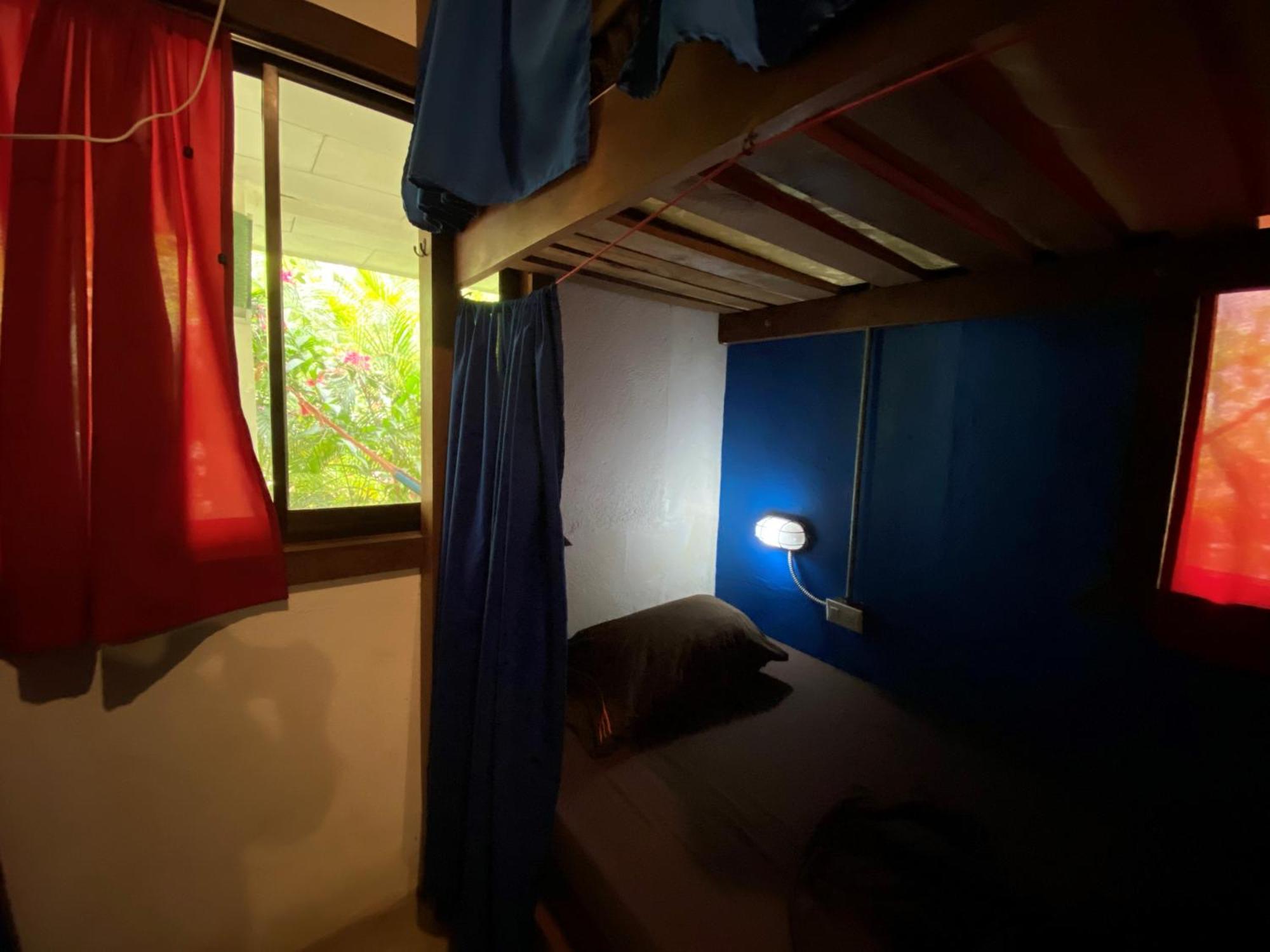 Playa 506 Beachfront Hostel Puerto Viejo de Talamanca Стая снимка