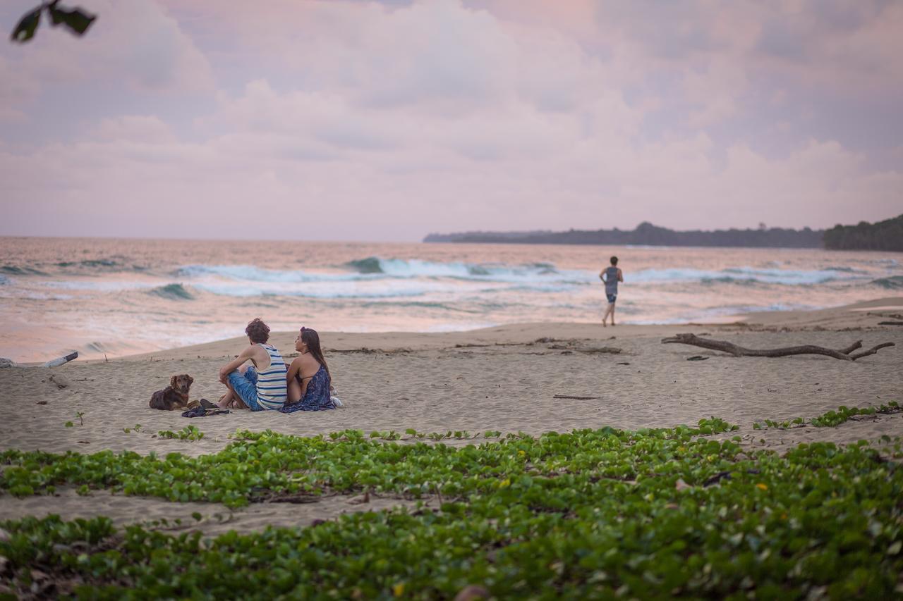Playa 506 Beachfront Hostel Puerto Viejo de Talamanca Екстериор снимка