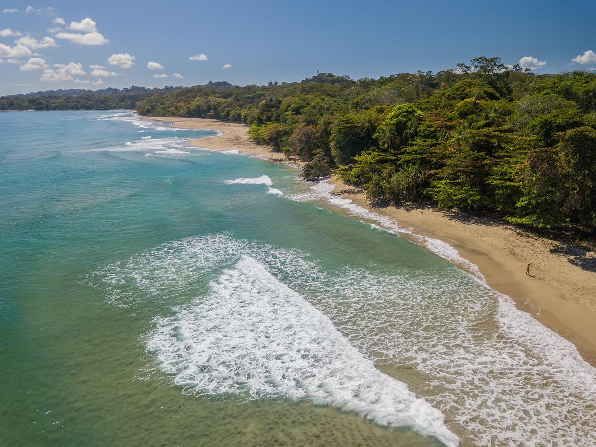 Playa 506 Beachfront Hostel Puerto Viejo de Talamanca Екстериор снимка